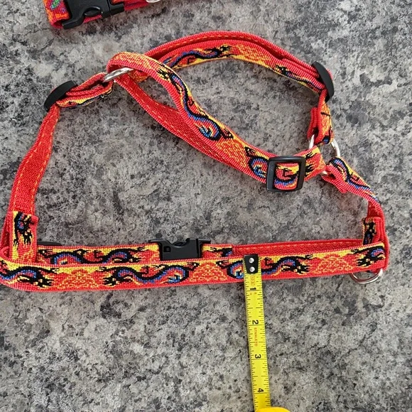 21 Vibrant Multicolor Dog Collars used